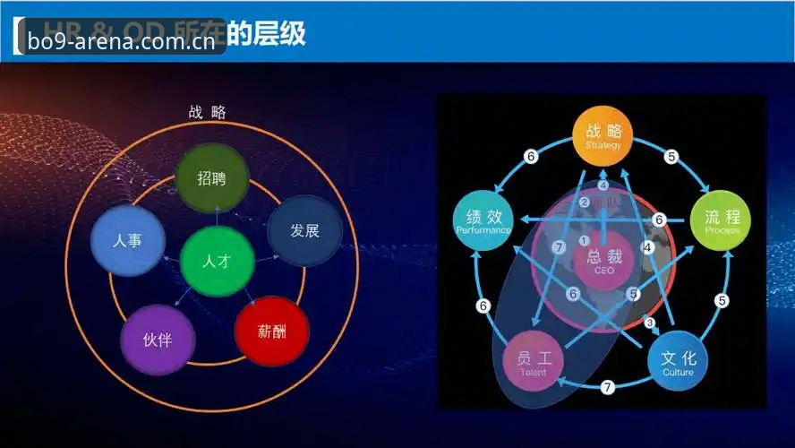 3大维度解析BO官方客服服务如何重塑体育平台用户信任体系